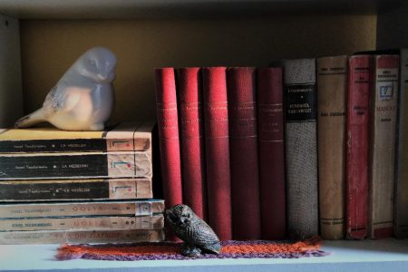 Cum ar arata lumea fara carți?