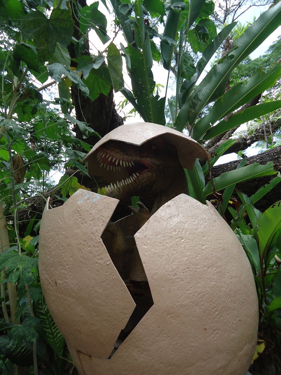 3.dino