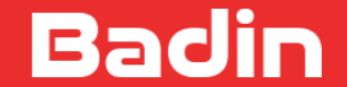 badin.ro